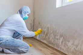 Trusted Hasson Heights, PA Mold Prevention & Removal  Experts